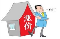 洞察市场脉动，把握置业良机——全方位房产资讯与咨询指南